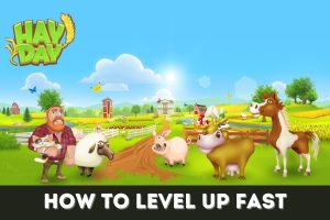 Featured image for how to level up fast in Hay Day